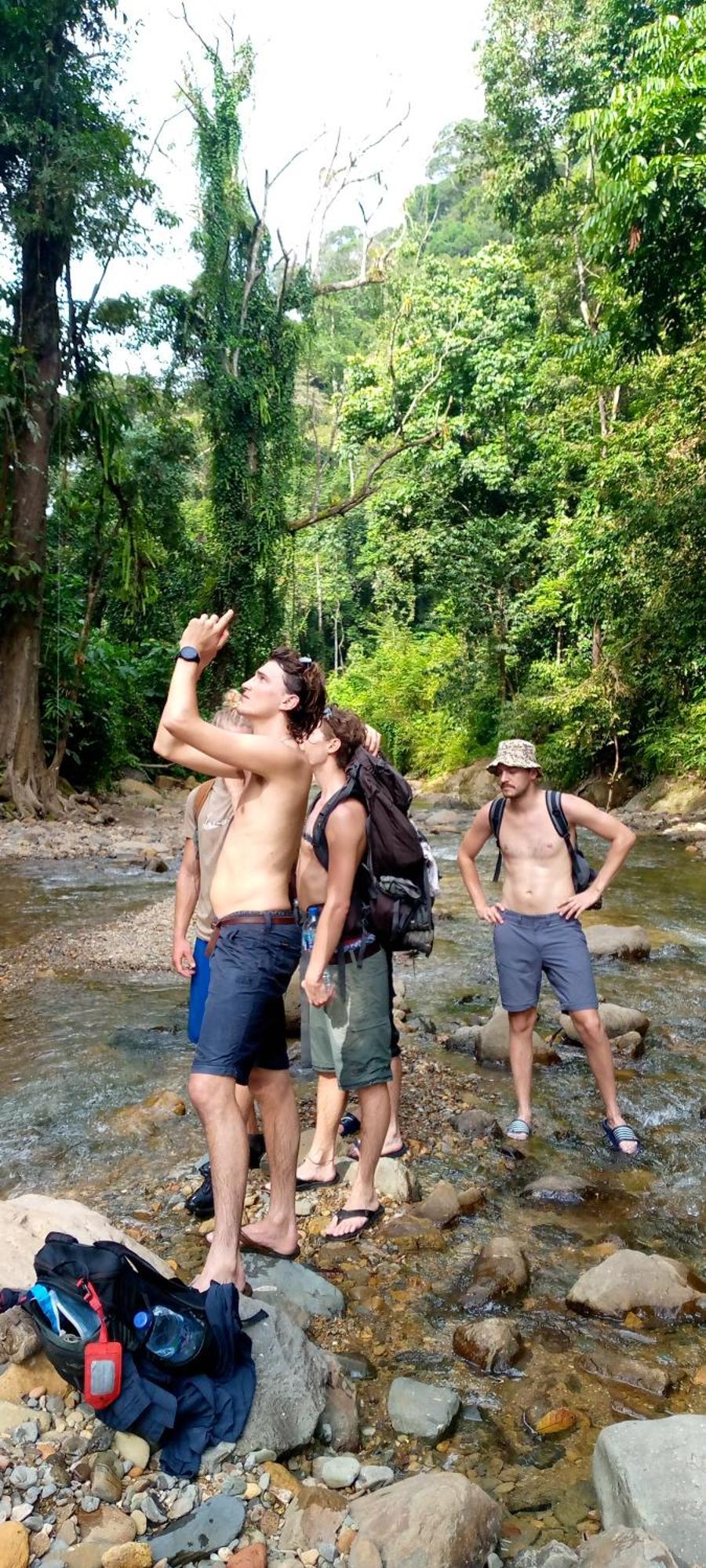 Asim Paris Guesthouse & Jungle Trekking 부킷 라왕 외부 사진