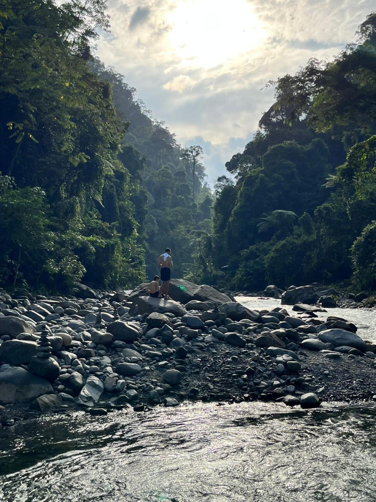Asim Paris Guesthouse & Jungle Trekking 부킷 라왕 외부 사진