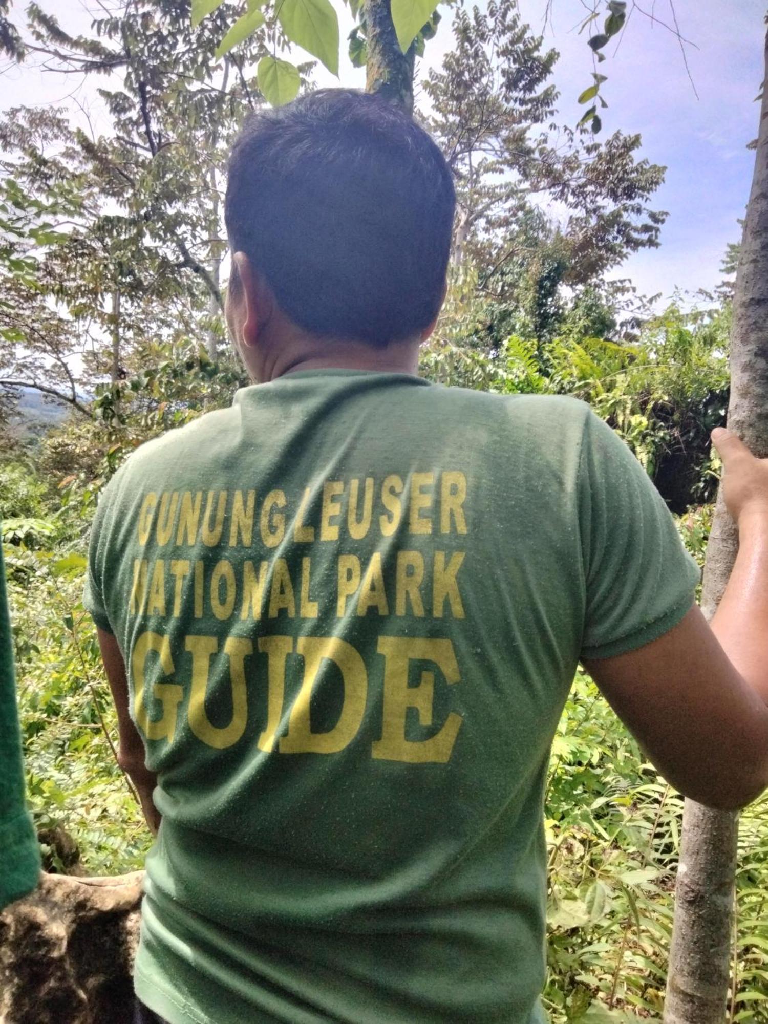 Asim Paris Guesthouse & Jungle Trekking 부킷 라왕 외부 사진