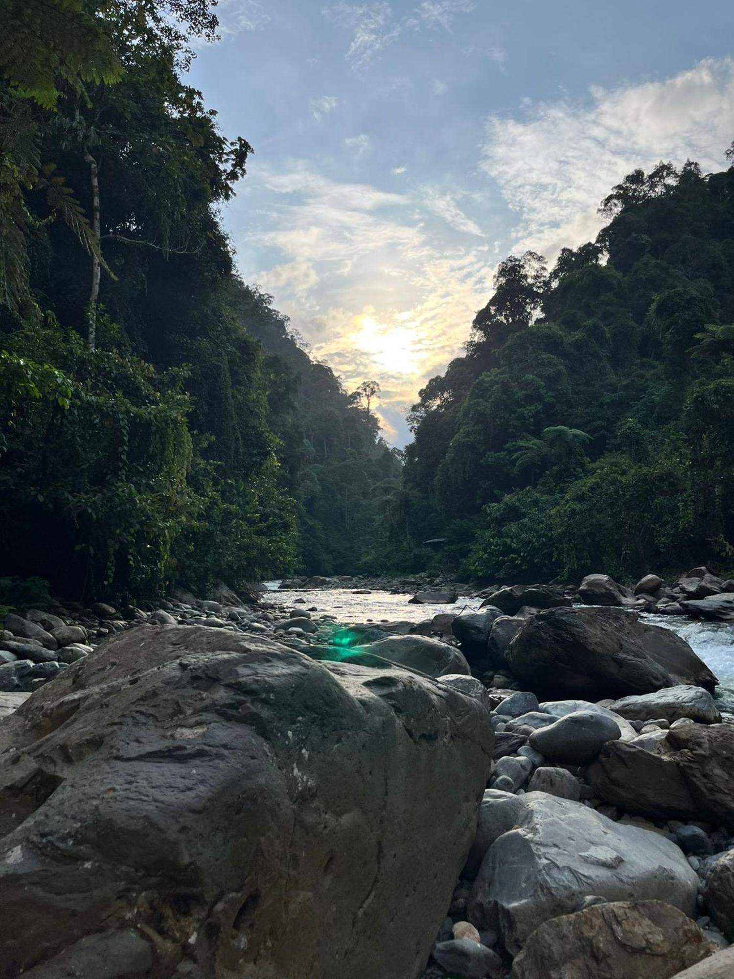 Asim Paris Guesthouse & Jungle Trekking 부킷 라왕 외부 사진