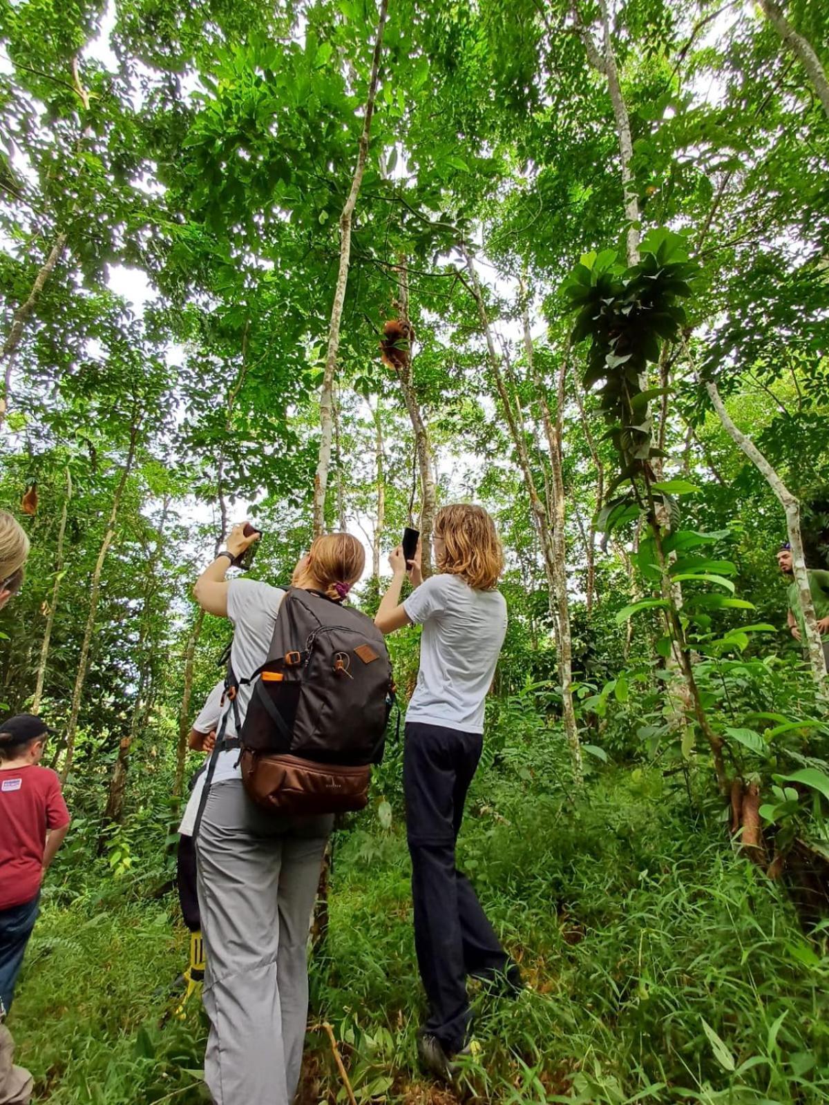 Asim Paris Guesthouse & Jungle Trekking 부킷 라왕 외부 사진