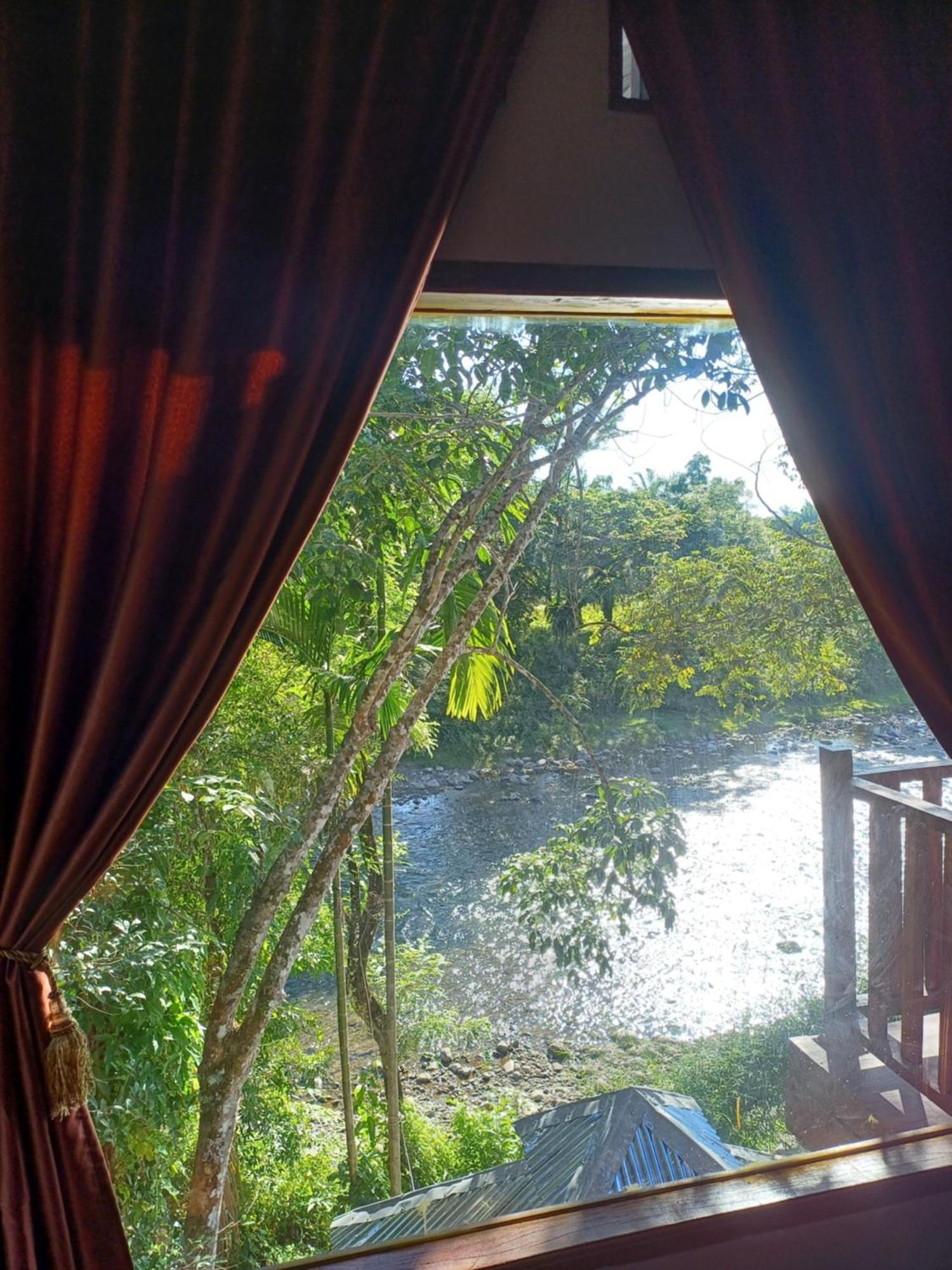 Asim Paris Guesthouse & Jungle Trekking 부킷 라왕 외부 사진