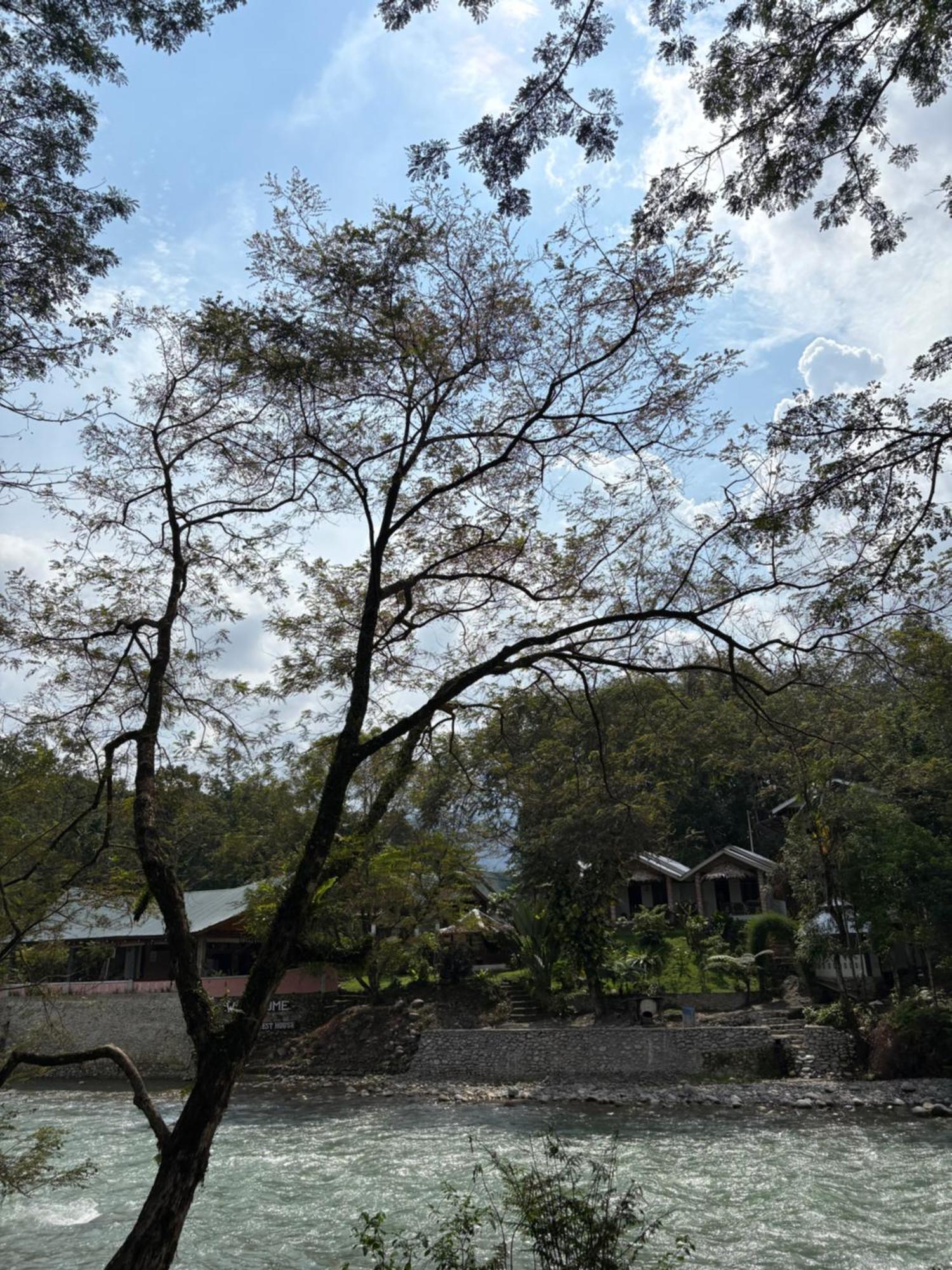 Asim Paris Guesthouse & Jungle Trekking 부킷 라왕 외부 사진