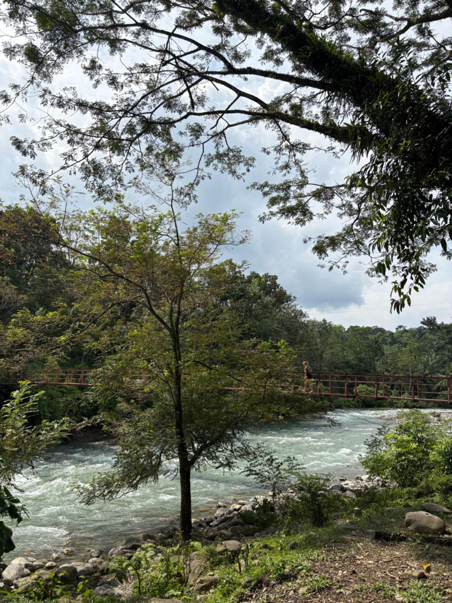 Asim Paris Guesthouse & Jungle Trekking 부킷 라왕 외부 사진