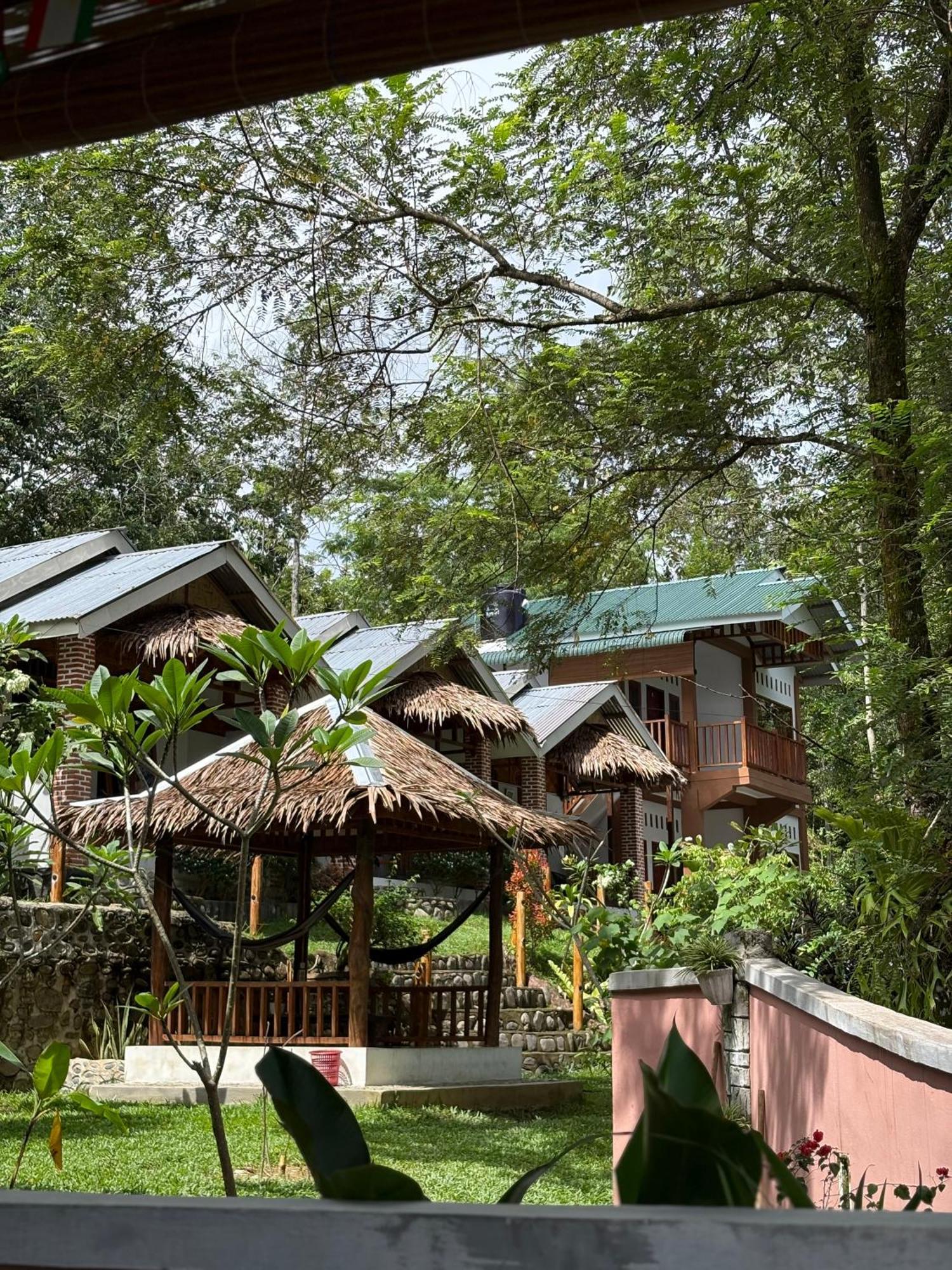 Asim Paris Guesthouse & Jungle Trekking 부킷 라왕 외부 사진